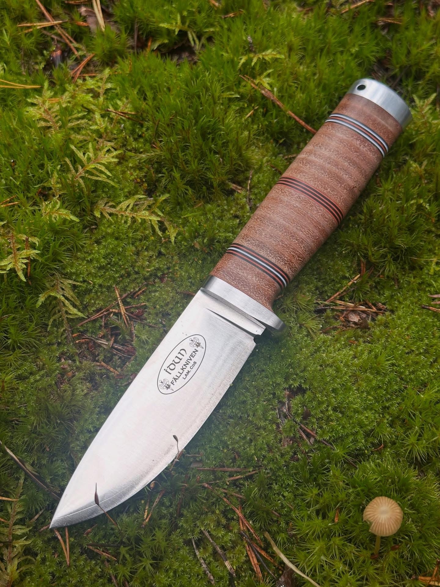 Fällkniven NL5LCoS - Northern Light - Idun